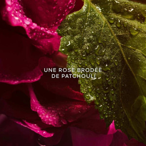 La Petite Robe Noire - Eau de Parfum Absolue